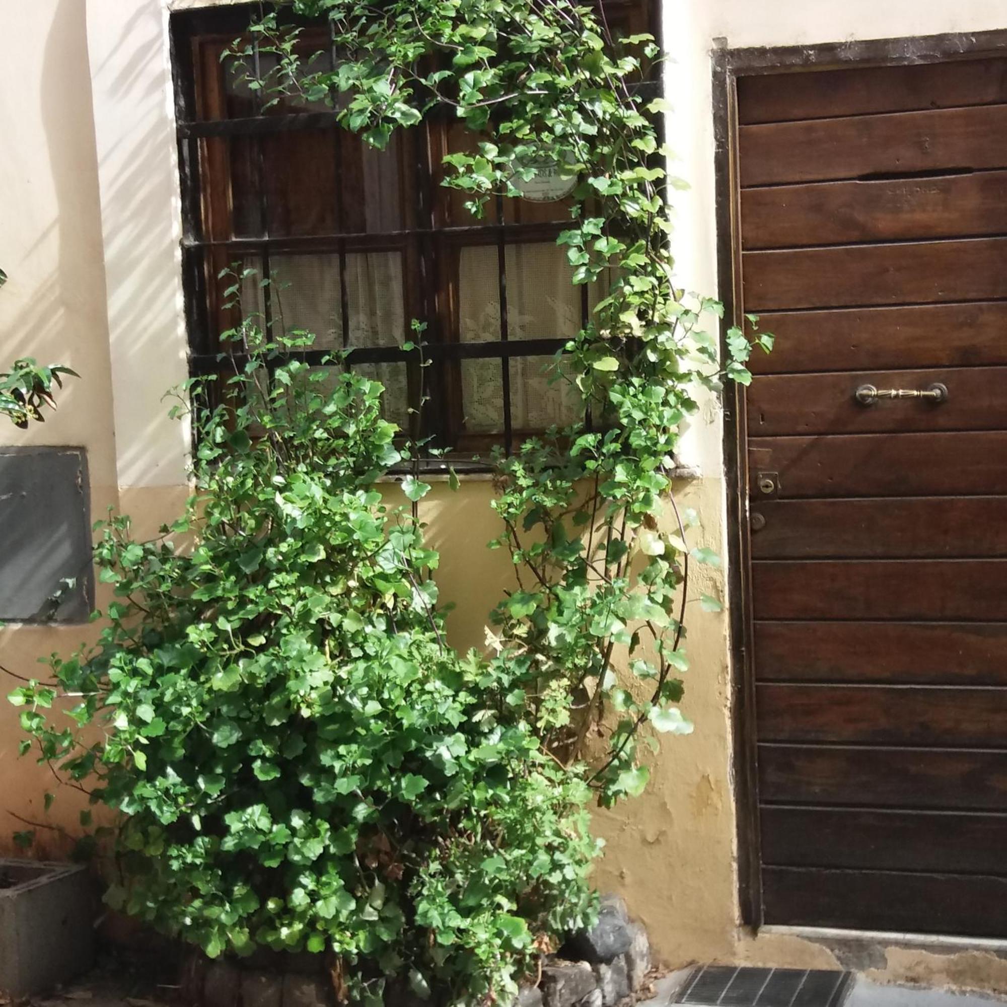 B&B Ventisei Scalini A Trastevere Roma Exterior foto